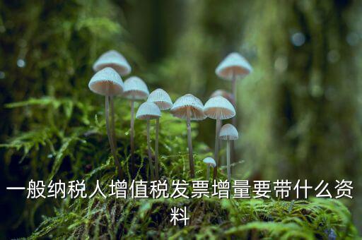 增加開票人需要什么資料，申請開票人變更需要哪些材料