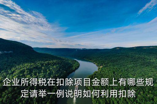 扣除項目金額是什么，應(yīng)稅服務(wù)扣除項目清單中允許扣除項目金額指的是什么是總