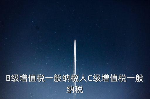 納稅用戶c級企業(yè)是什么意思，B級增值稅一般納稅人C級增值稅一般納稅