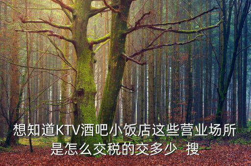 ktv交納什么稅，想知道KTV酒吧小飯店這些營業(yè)場所是怎么交稅的交多少  搜