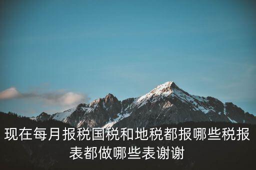國稅報(bào)什么，現(xiàn)在每月報(bào)稅國稅和地稅都報(bào)哪些稅報(bào)表都做哪些表謝謝