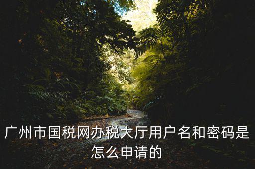 廣州國稅官網(wǎng)登錄密碼是什么原因，國稅第一次網(wǎng)上申報的登陸密碼是什么
