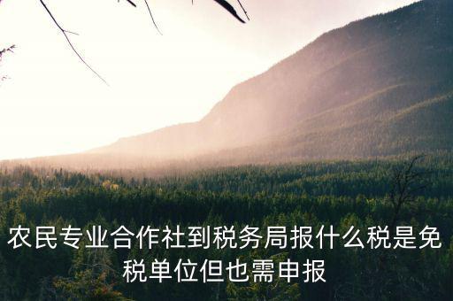 合作社應(yīng)報(bào)什么稅，農(nóng)民專業(yè)合作社是怎樣報(bào)稅的是企業(yè)還是個(gè)體戶