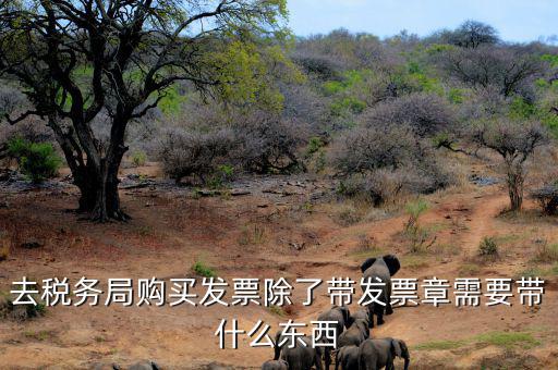 購發(fā)票需要什么資料，個(gè)人購物開增值稅普通發(fā)票需要什么資料