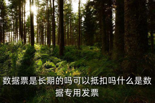 什么是增值稅數(shù)據(jù)票，數(shù)據(jù)發(fā)票是什么意思