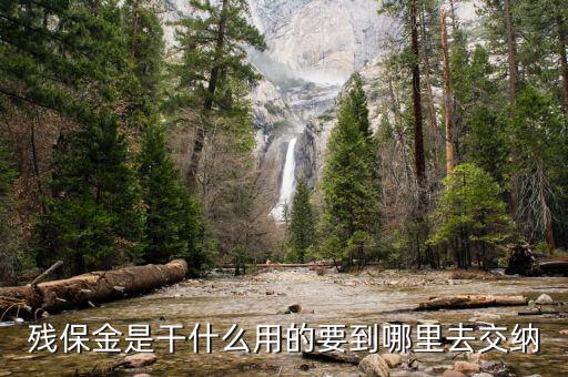 殘疾人保障金干什么用，殘疾就業(yè)保帳金是干什么的
