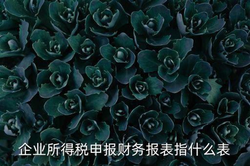 千戶集團財務(wù)報表申報是什么，2015年度財務(wù)報表和申報表指的是啥