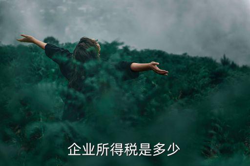 生產(chǎn)企業(yè)稅收標(biāo)準(zhǔn)是什么，企業(yè)所得稅是多少