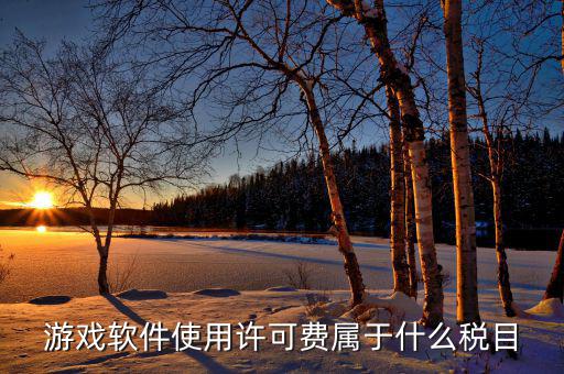 軟件使用費(fèi)交什么稅，軟件使用費(fèi)應(yīng)開(kāi)國(guó)稅發(fā)票還是地稅發(fā)票