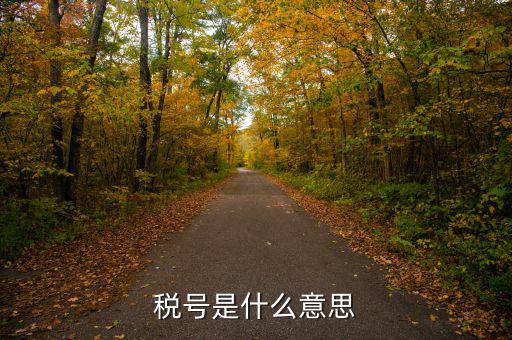 企業(yè)納稅號是什么，公司稅號是什么