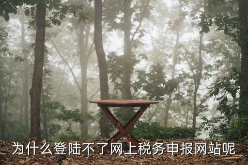申報(bào)個(gè)稅登錄不上去是什么原因，為什么我的個(gè)人所得稅總是登不上去