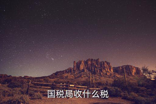 南寧國(guó)稅局收什么的稅，請(qǐng)教南寧國(guó)稅納稅具體多少以1000元收入為例
