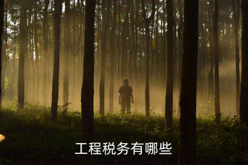 稅務三代項目是什么，通常說的三稅是指什么啊