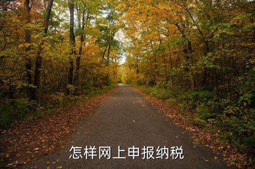 網(wǎng)上用什么申報稅務(wù)，怎樣網(wǎng)上申報納稅