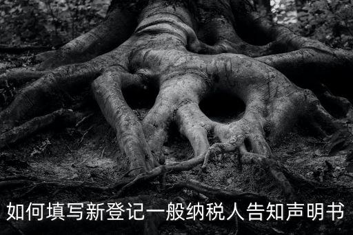 納稅人聲明是什么意思，一般納稅人申報(bào)表主表的申明人必須輸入是什么意思