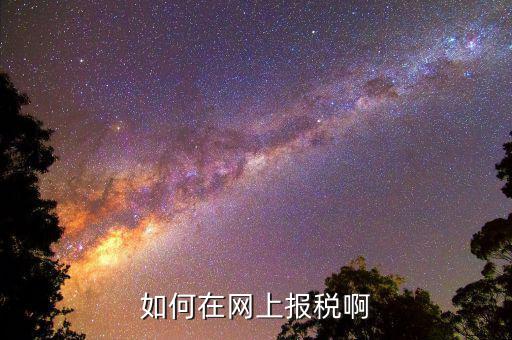 網(wǎng)上用什么申報(bào)稅務(wù)局，如何網(wǎng)上稅務(wù)申報(bào)