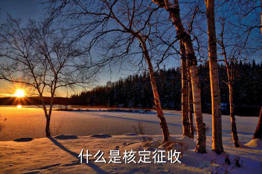 什么是核定征收稅款，核定征收是什么意思
