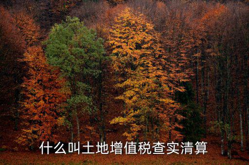 土地增值稅為什么清算，土地增值稅清算