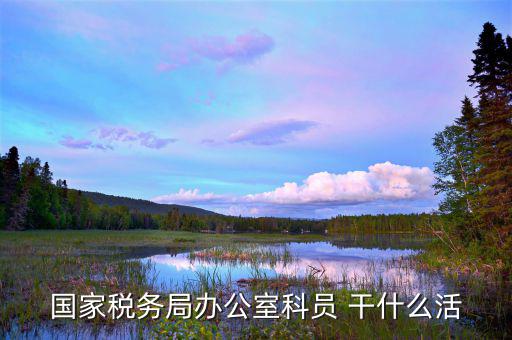 國稅行政辦公室干什么，國稅局辦公室怎么樣