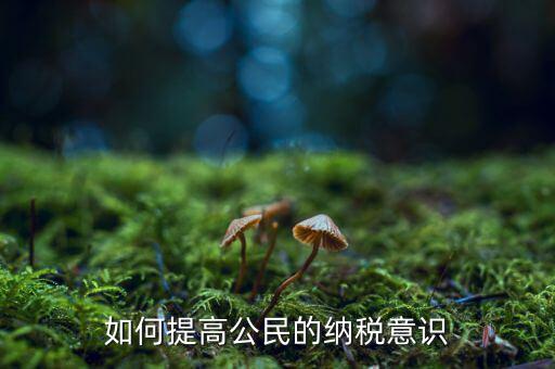 什么是納稅漫畫宣傳，魁拔第一部的投入官方說是3500萬一部動漫為什么投資那么大都花