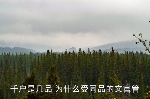 什么千戶集團(tuán)，千戶是什么意思