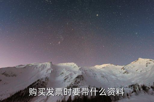 購(gòu)發(fā)票 帶什么資料，購(gòu)買(mǎi)增值稅普通發(fā)票需要帶什么資料