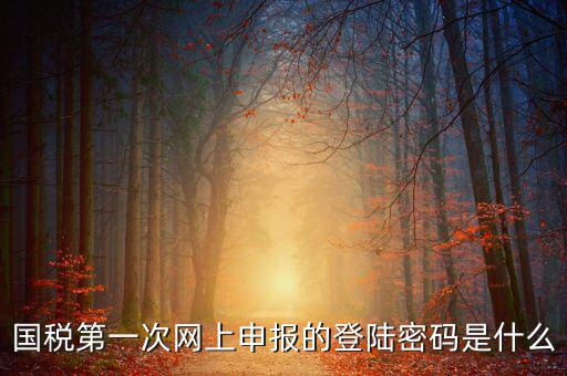 網(wǎng)上稅稅通密碼是什么，國(guó)稅第一次網(wǎng)上申報(bào)的登陸密碼是什么