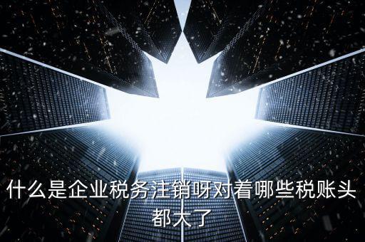 什么是錯(cuò)峰預(yù)約辦稅，網(wǎng)上辦稅系統(tǒng)納稅人未開(kāi)通使用此介入軟件是什么意思