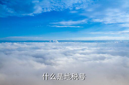 稅務(wù)賬號是什么，什么是地稅號