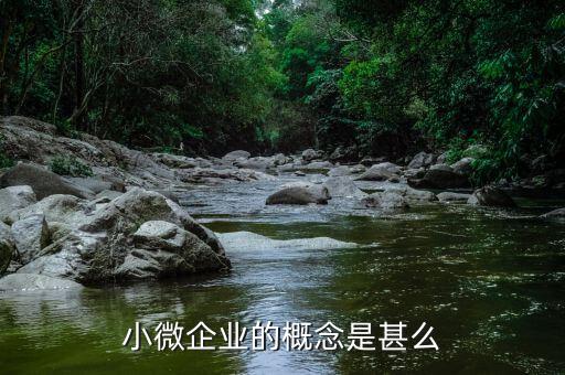 小微企業(yè)包括什么意思，微型企業(yè)是什么啊