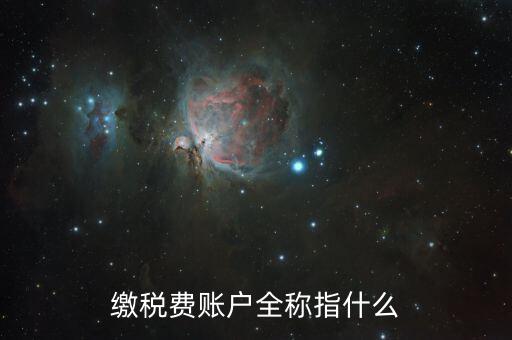 納稅賬戶是什么，我們公司申請(qǐng)的一個(gè)專門用來(lái)繳納稅款的賬戶是什么賬戶