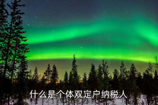 什么是個(gè)體雙定戶(hù)納稅人