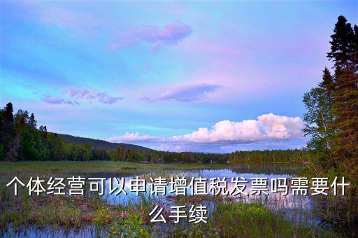 個體打印發(fā)票需要什么資料，開個人增值稅發(fā)票需要什么資料