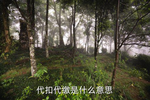 稅務(wù)代收什么意思，代扣代繳是什么意思