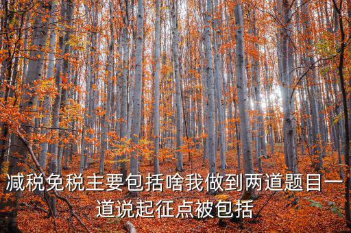 什么是減稅免稅，什么是稅收法定減免