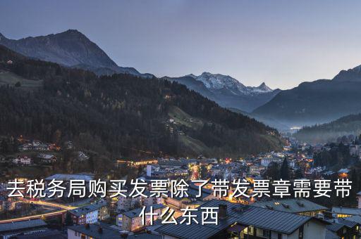 拿發(fā)票需要帶什么，去稅務局領發(fā)票需要帶什么資料去