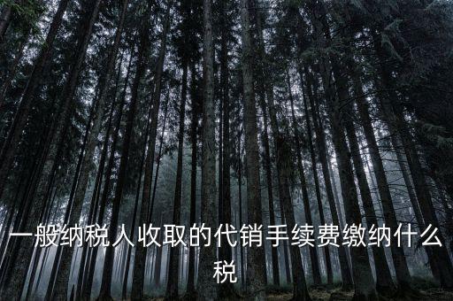 代理服務(wù)費(fèi)交什么稅，一般納稅人收取的代銷手續(xù)費(fèi)繳納什么稅