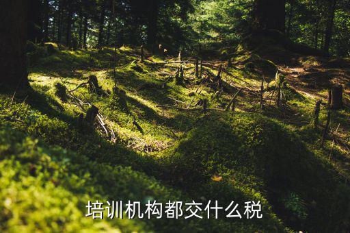 2017培訓(xùn)機(jī)構(gòu)交什么稅，培訓(xùn)機(jī)構(gòu)需要交稅的種類有多少