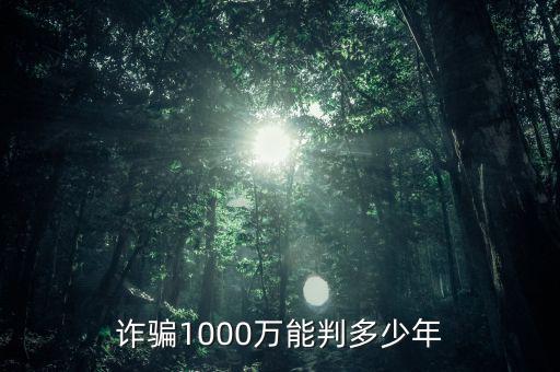 騙稅1000萬什么罪，偷稅漏稅1000萬什么罪