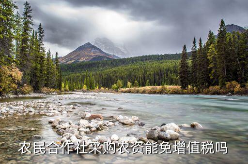 什么是農(nóng)資免征增值稅，小規(guī)模農(nóng)資企業(yè)免增值稅是不是只要有銷售收入就得交附加稅