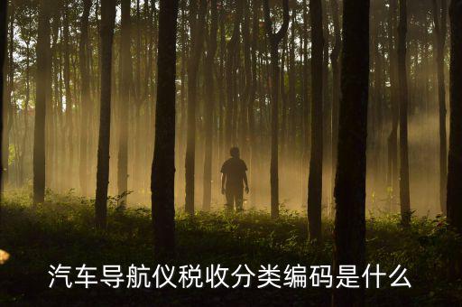 汽車的稅收分類編碼是什么意思，汽車導(dǎo)航儀稅收分類編碼是什么