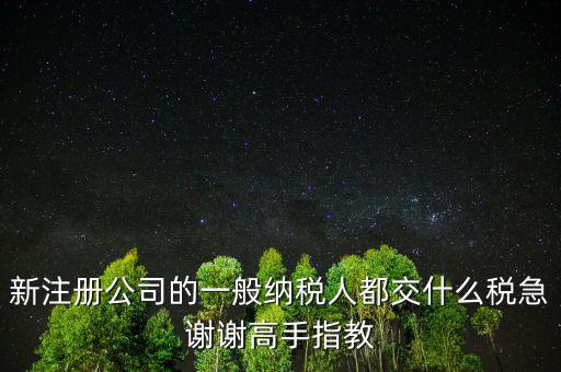 新注冊公司是什么納稅人，新辦企業(yè)是一般納稅人還是小規(guī)模納稅人