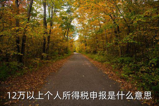 申報(bào)個(gè)稅什么意思，個(gè)稅明細(xì)申報(bào)是指什么
