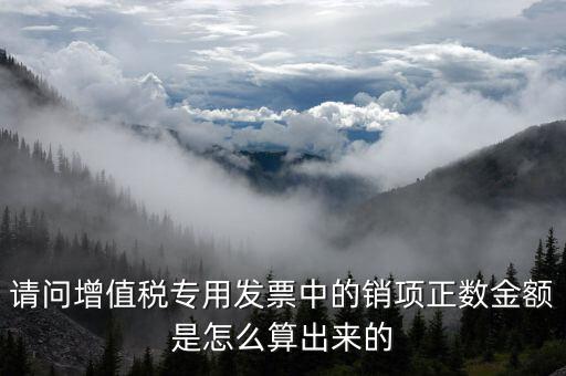 銷項正數(shù)金額是什么意思，銷項正數(shù)金額銷項負(fù)廢金額銷項負(fù)數(shù)金額是什么意