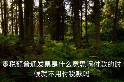 什么叫0稅率發(fā)票，零稅額普通發(fā)票是什么意思啊付款的時(shí)候就不用付稅款嗎