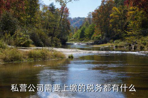 民營(yíng)企業(yè)需要地稅什么服務(wù)，私營(yíng)公司需要上繳的稅務(wù)都有什么