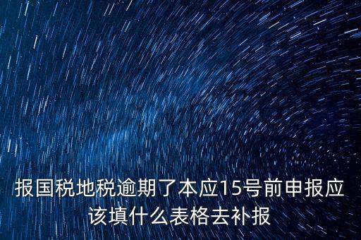 補(bǔ)錄國地稅信息都錄什么，報(bào)國稅地稅逾期了本應(yīng)15號(hào)前申報(bào)應(yīng)該填什么表格去補(bǔ)報(bào)