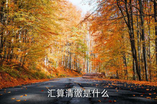 匯算清繳查賬都查什么，稅務(wù)局要對我司進行匯算清繳后的查帳包括費用帳成本帳往來帳