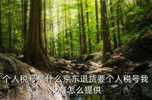 中心稅號是什么，稅號是15位還是8位的