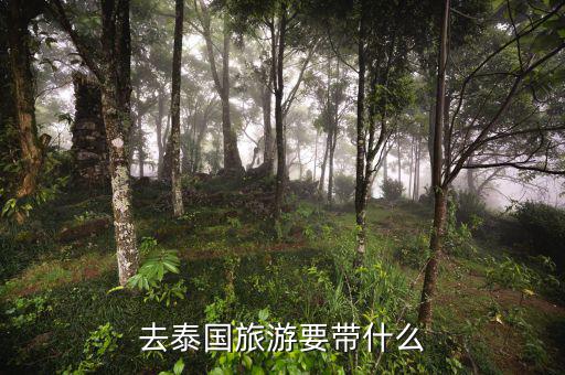 稅務局的信仰是什么，道德模范有哪些